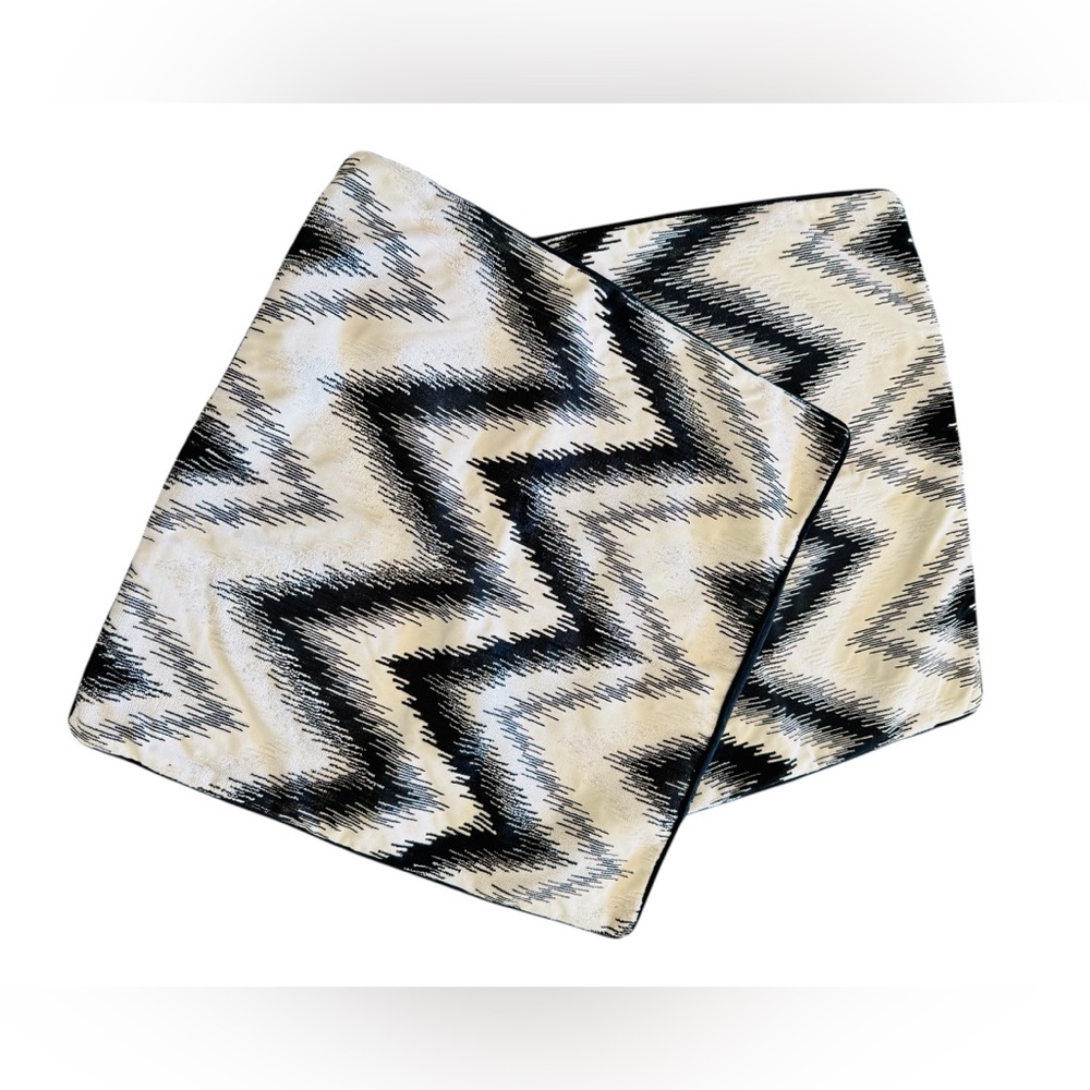 Two 20 inch square pillow covers black white print velvet back graphic